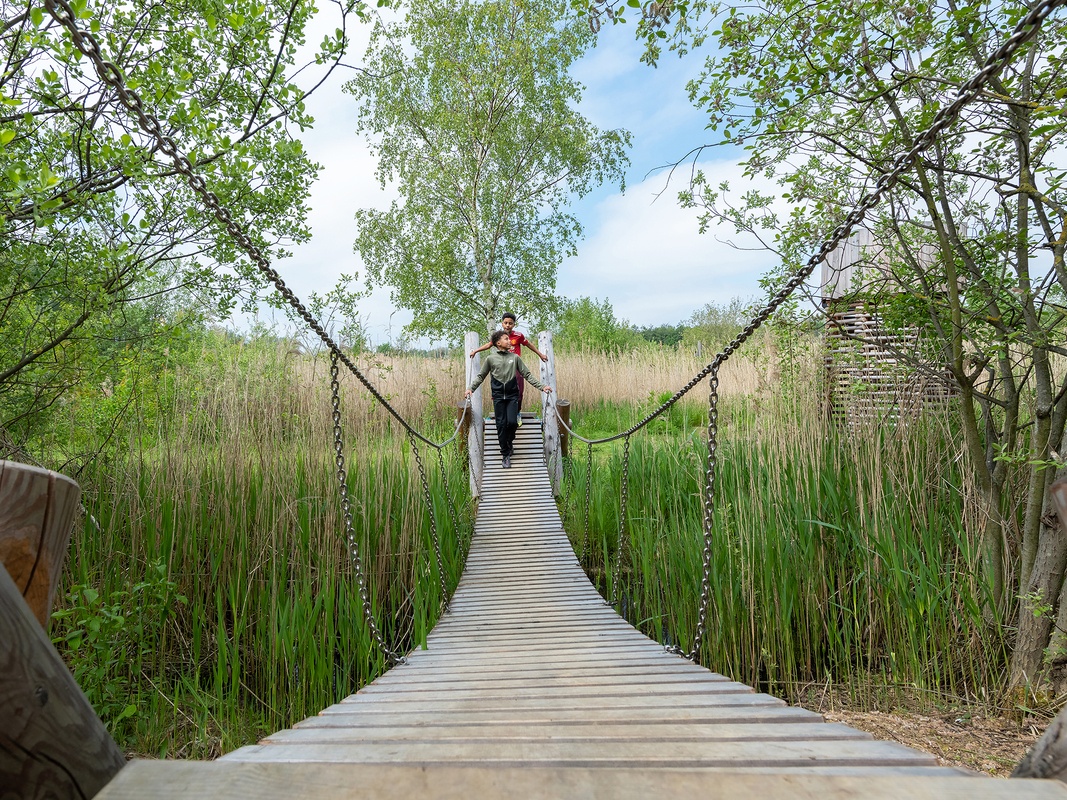 RSPB Old Moor