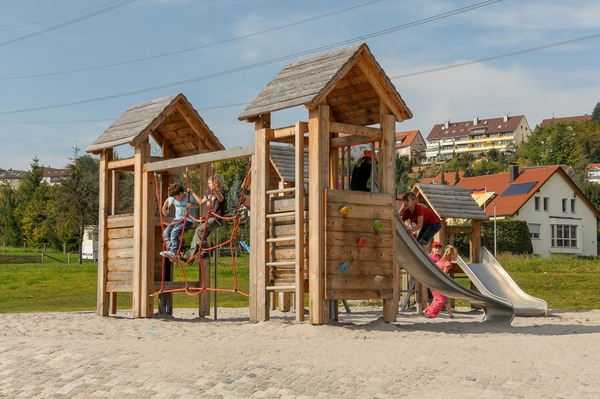 Climbing Wall with 5 climbing grips