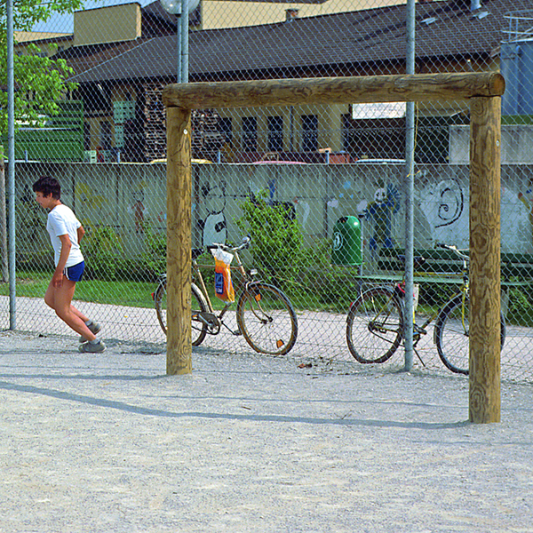 Goal, made of larch