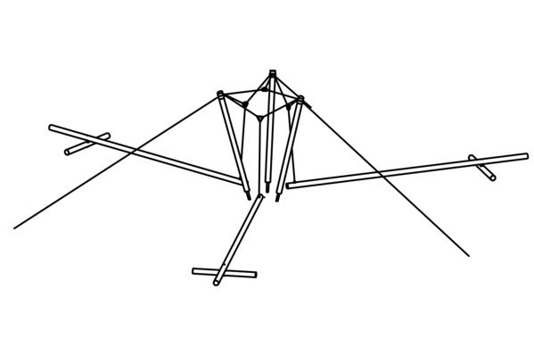 Schwingformation in Lärche