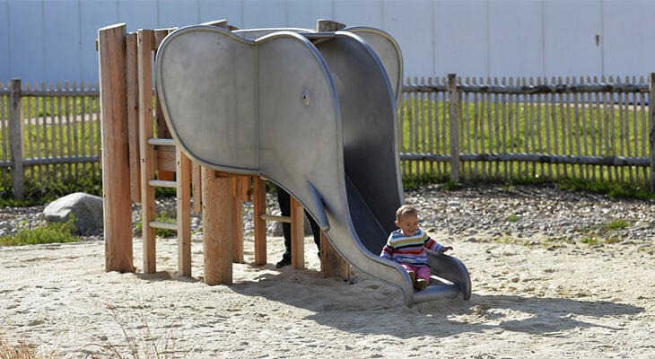 Stainless steel elephant-shaped slide